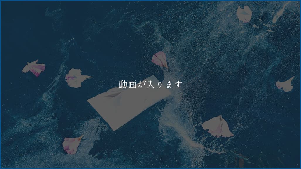 動画が入ります。